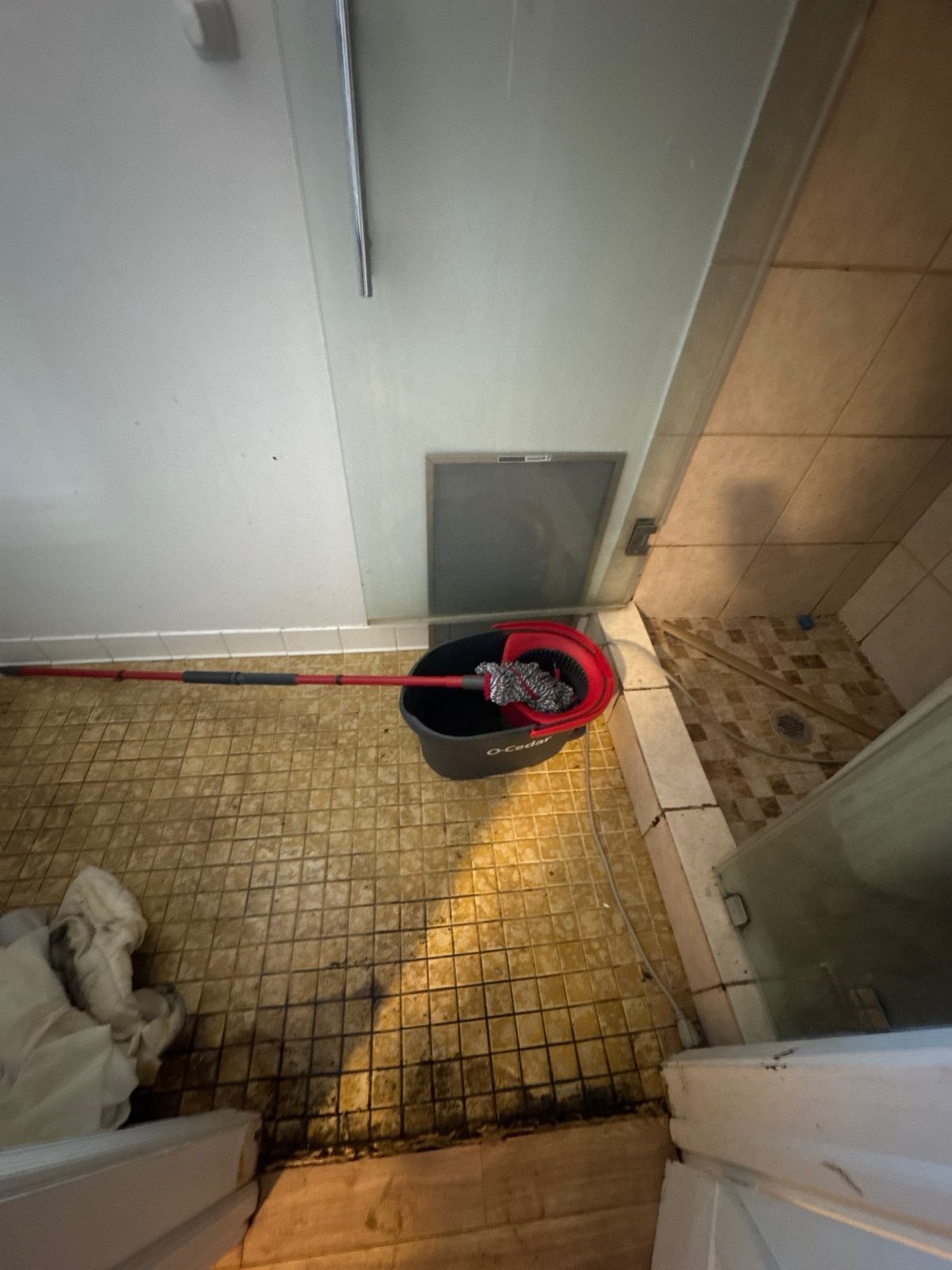 Before photo: mold remediation project in Chevy Chase, MD — documented initial conditions by Restoration Doctor