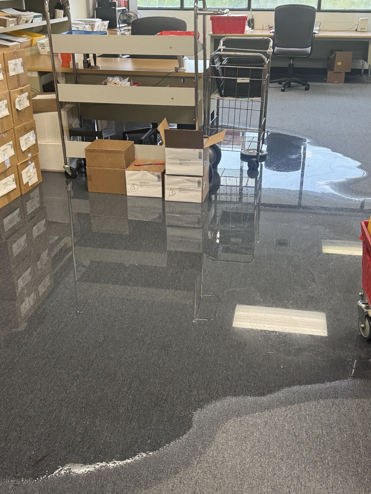 Before photo: water damage restoration project in Miami, FL — documented initial conditions by Restoration Doctor