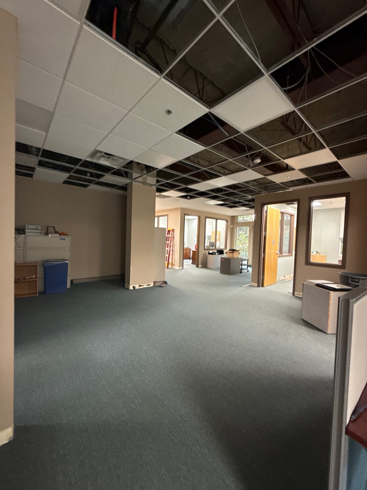 After photo: completed water damage restoration in Tysons, VA — Restoration Doctor project documentation