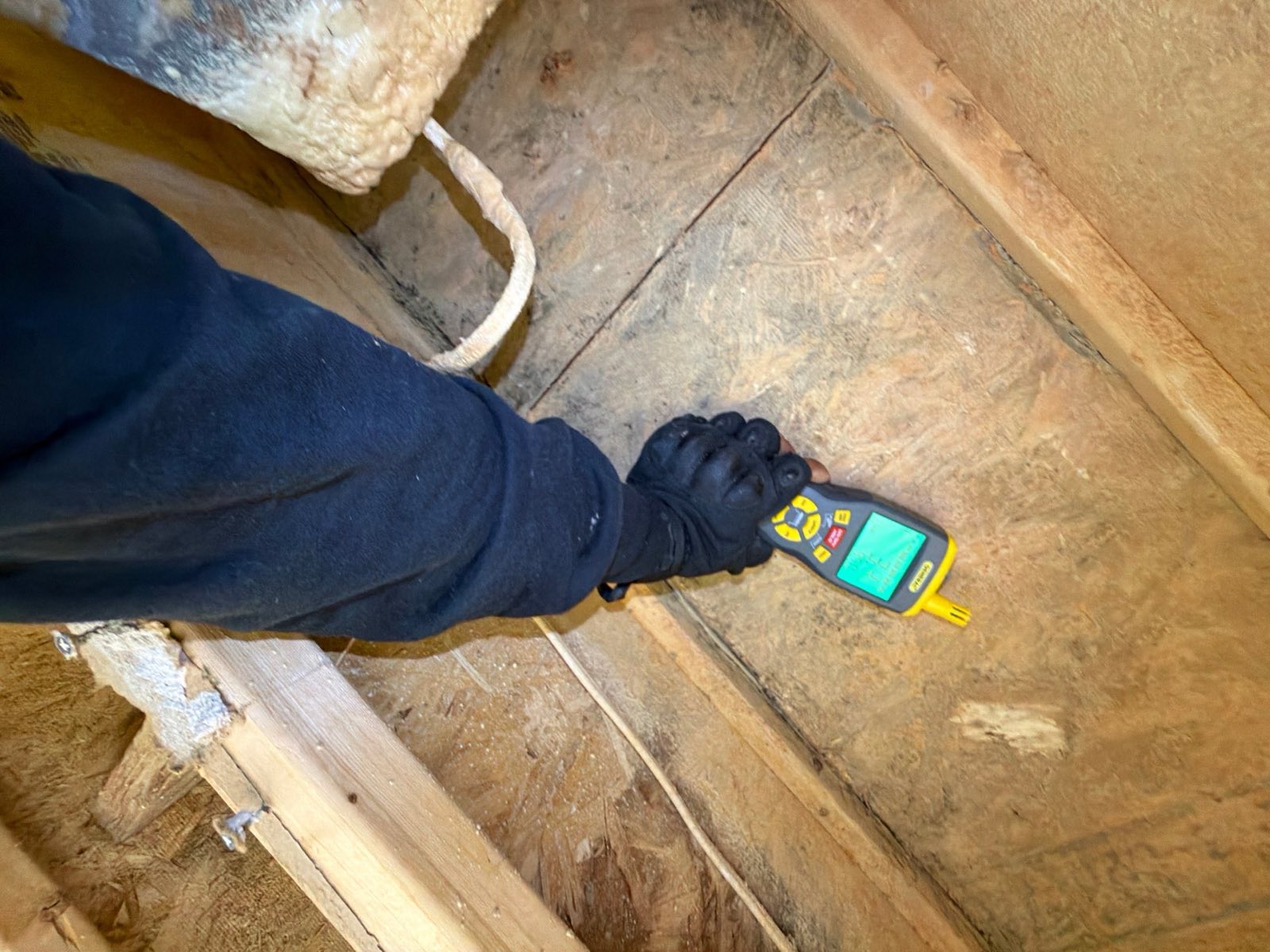 After photo: completed water damage restoration in Washington, DC — Restoration Doctor project documentation