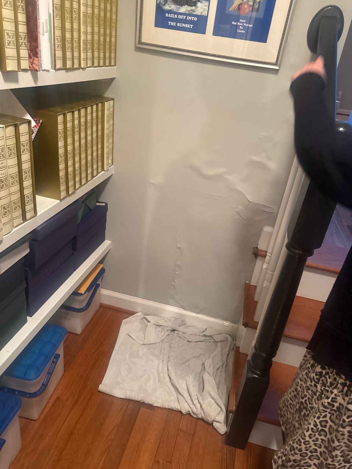 Before photo: water damage restoration project in McLean, VA — documented initial conditions by Restoration Doctor