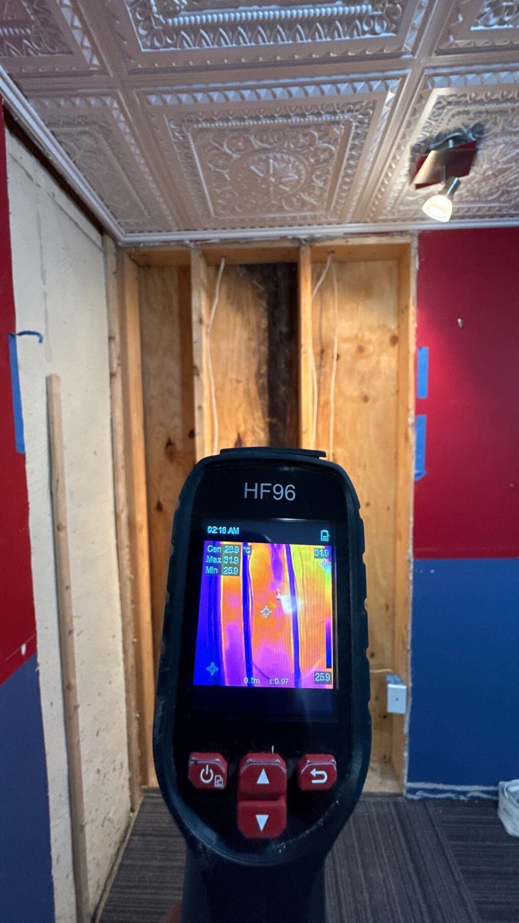 thermal imaging of moisture inside flood-cut wall framing, Woodbridge, VA