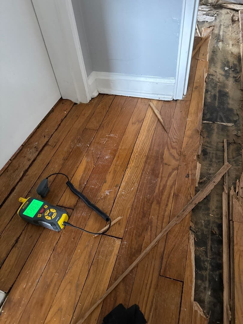 moisture meter reading near saturation on hardwood flooring, Arlington VA