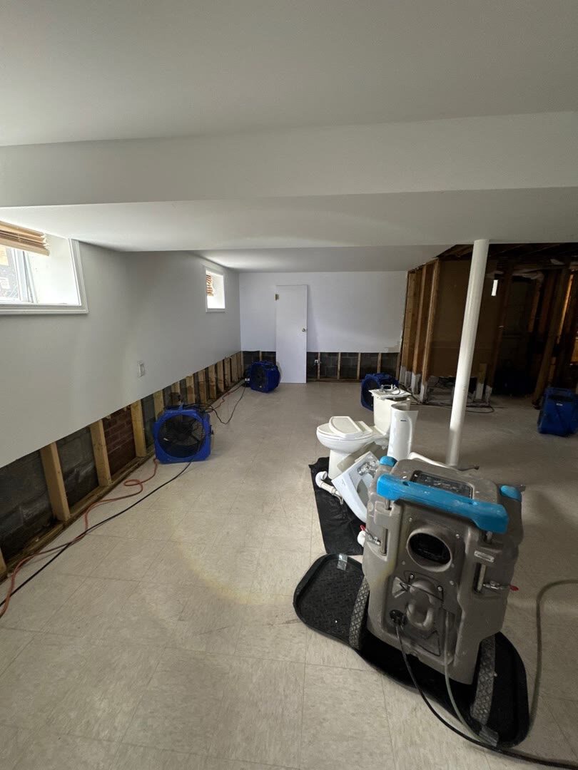 structural drying fleet in basement, Arlington VA