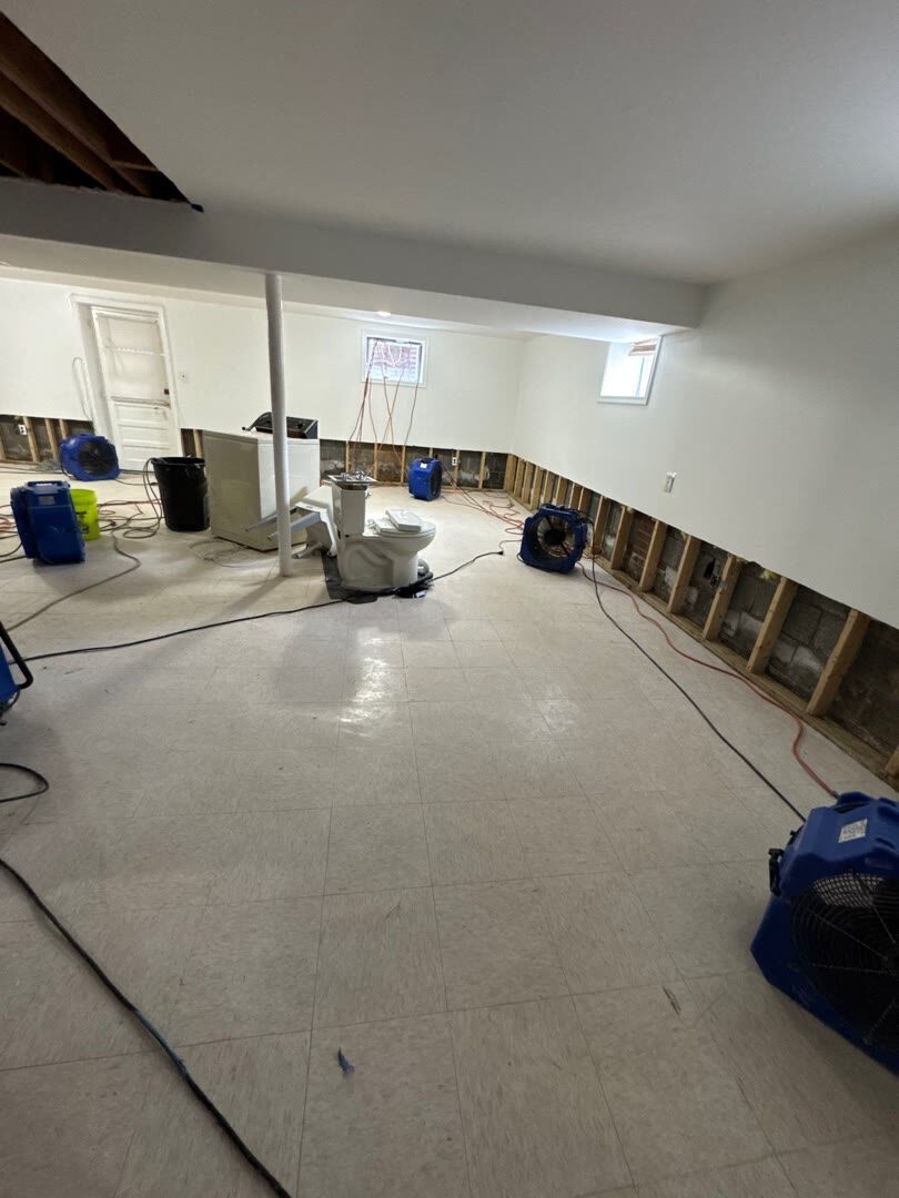 cleared and dried open basement ready to rebuild, Arlington VA